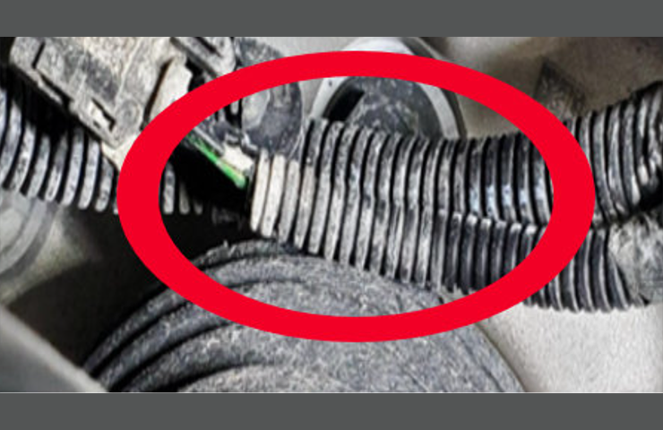 Contacto de Sensor de desgaste de balata con el semieje trasero